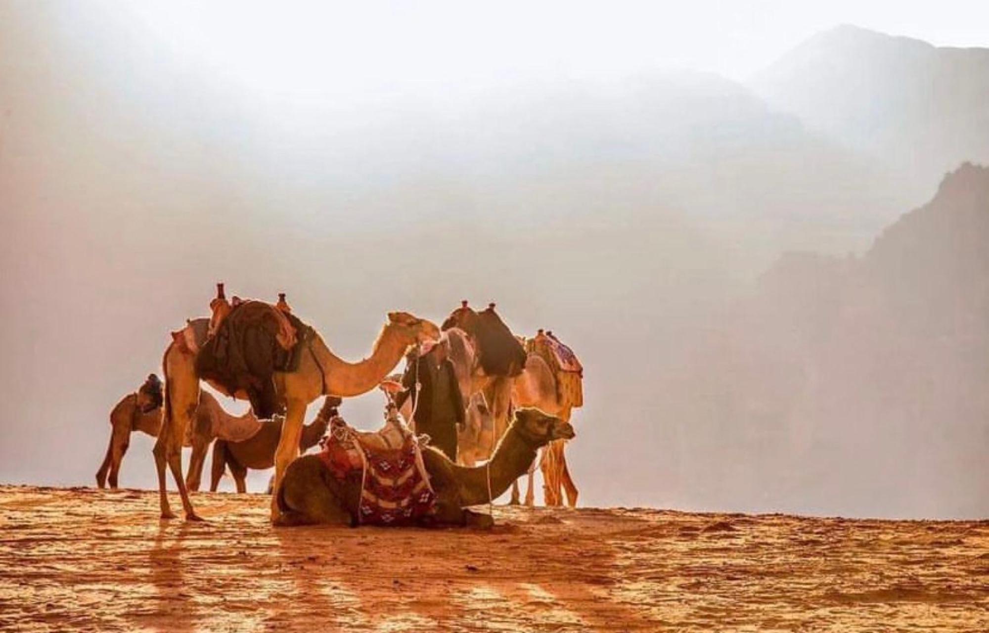 Julia Rum Luxury Camp Wadi Rum Exterior photo